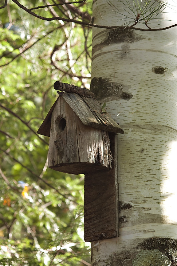 birdhouse at lisa's-milinda